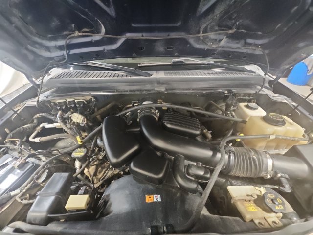 Used 2009  Ford XLT image 19