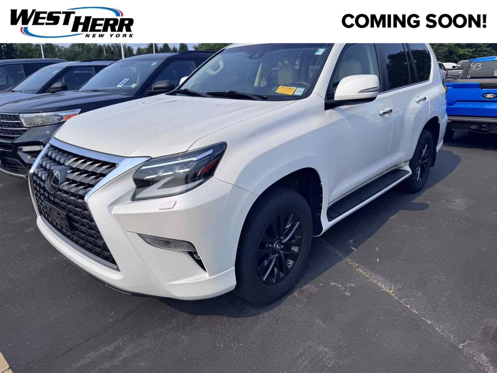 Used 2020 Starfire Pearl Lexus GX 460 Premium image 1