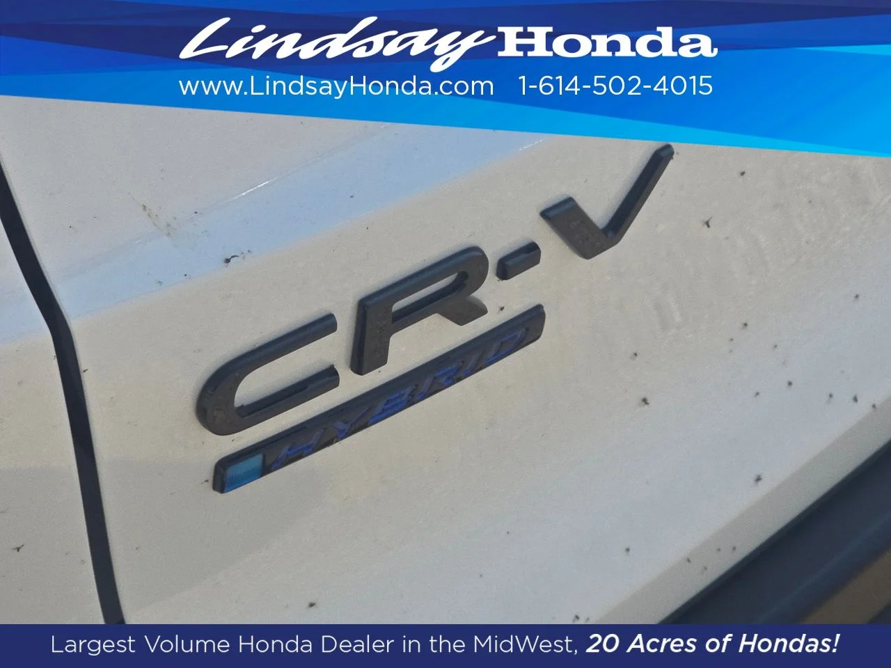 New 2026 Platinum White Pearl Honda Sport image 15