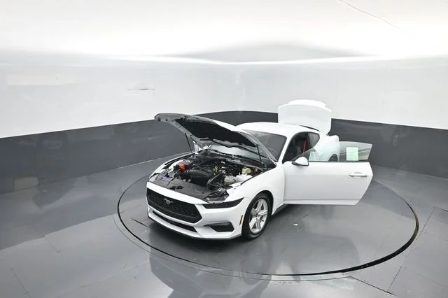 New 2026 Oxford White Ford EcoBoost® Fastback image 33