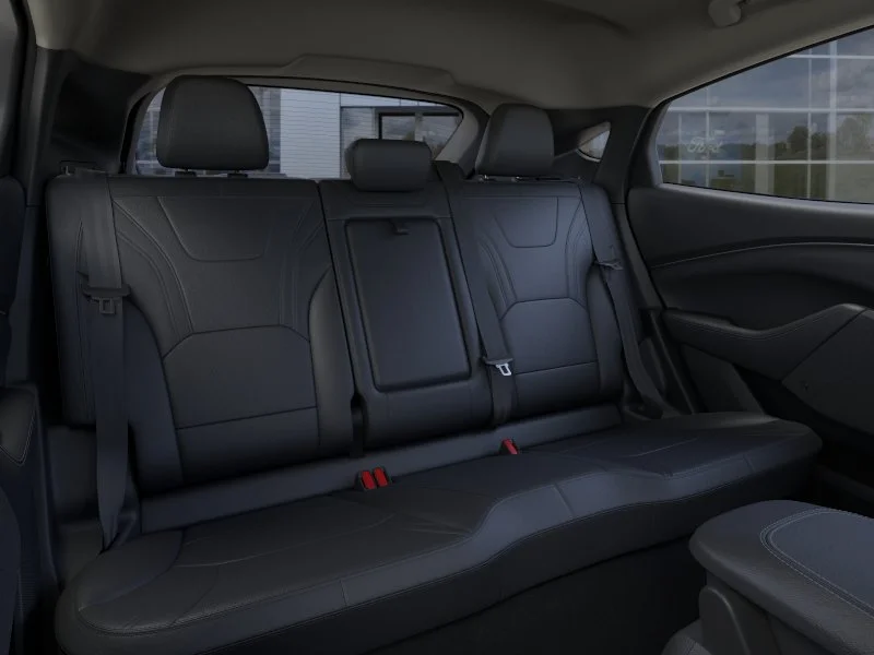 New 2025 Molten Magenta Metallic Tinted Clearcoat Ford Premium image 11