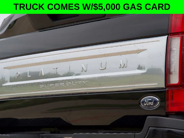 Used 2022 Black Ford Platinum image 11