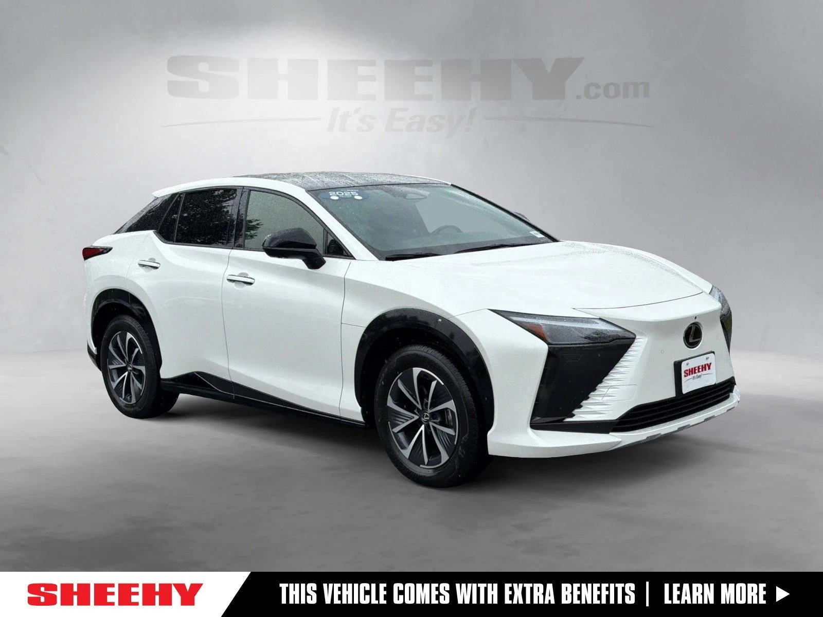 2025 Lexus RZ