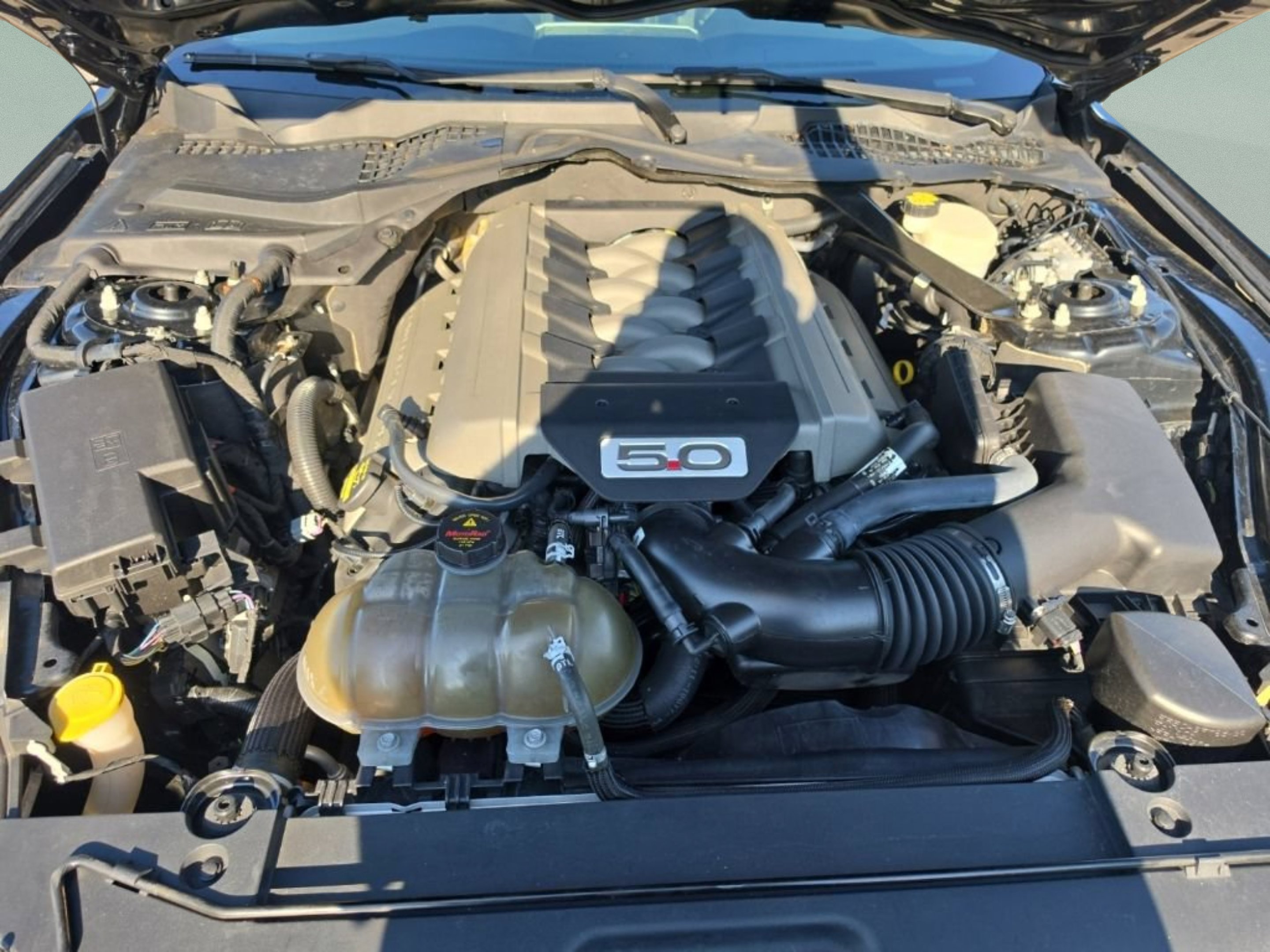 Used 2015 Black Ford GT Premium image 10