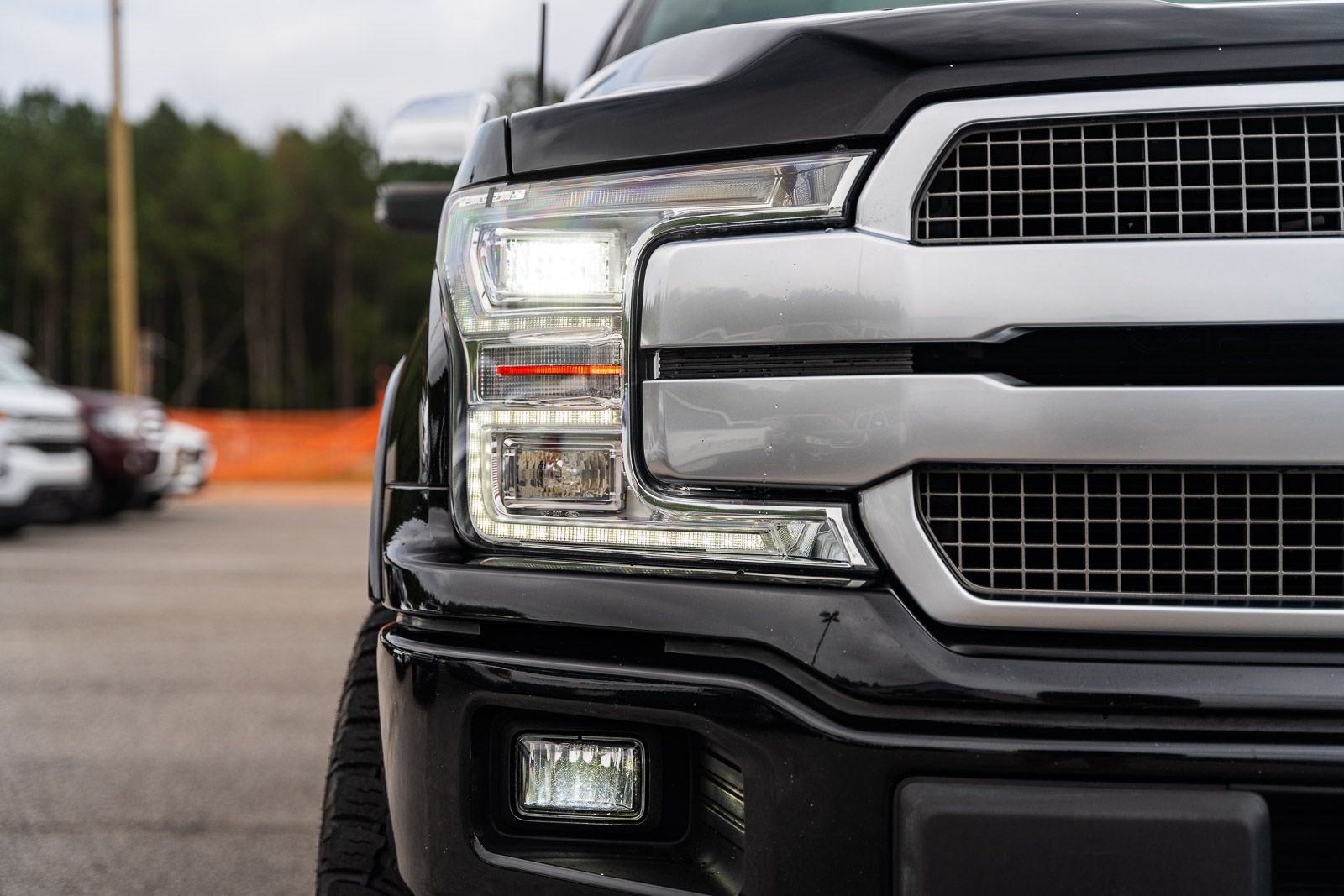 Used 2018 Black Ford Platinum image 10