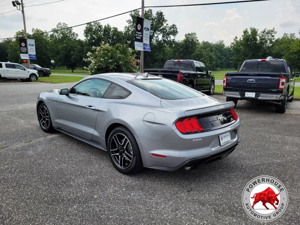 Used 2023 Silver Ford EcoBoost Premium image 3