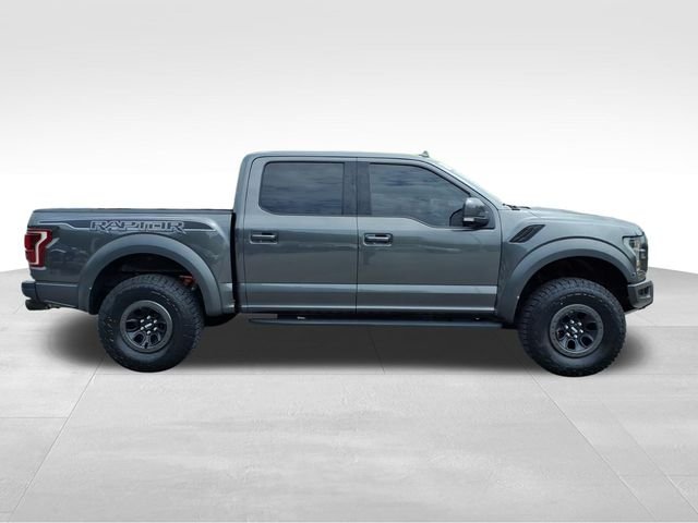 Used 2019 Gray Ford Raptor image 12