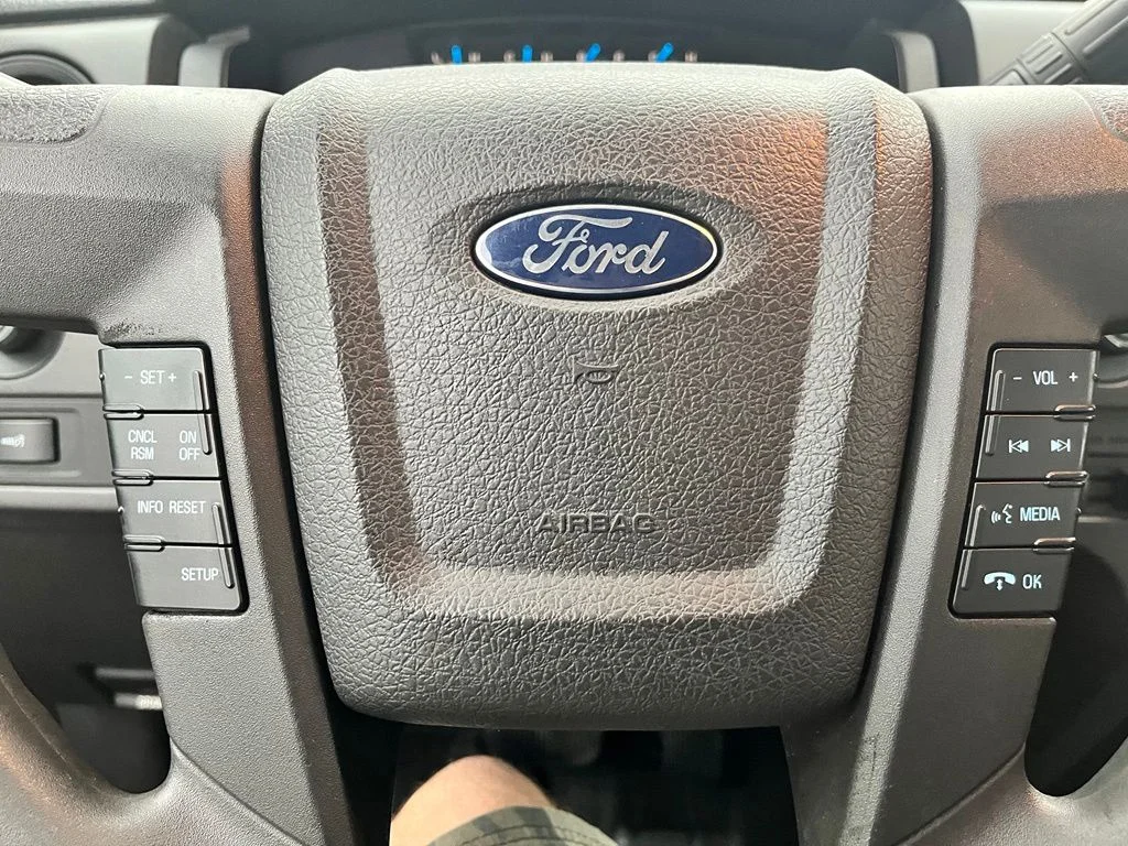Used 2014 Blue Ford STX image 21