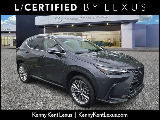2025 Lexus NX 350 350 Premium AWD's photo