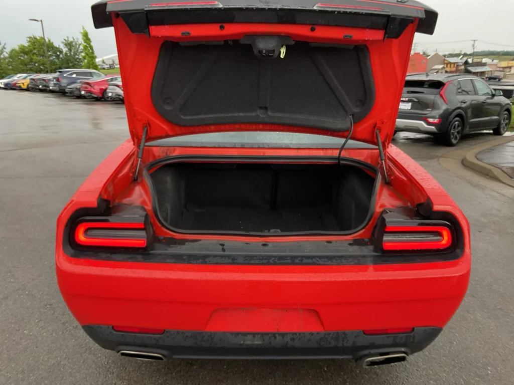 Used 2020 Go Mango Dodge GT image 14