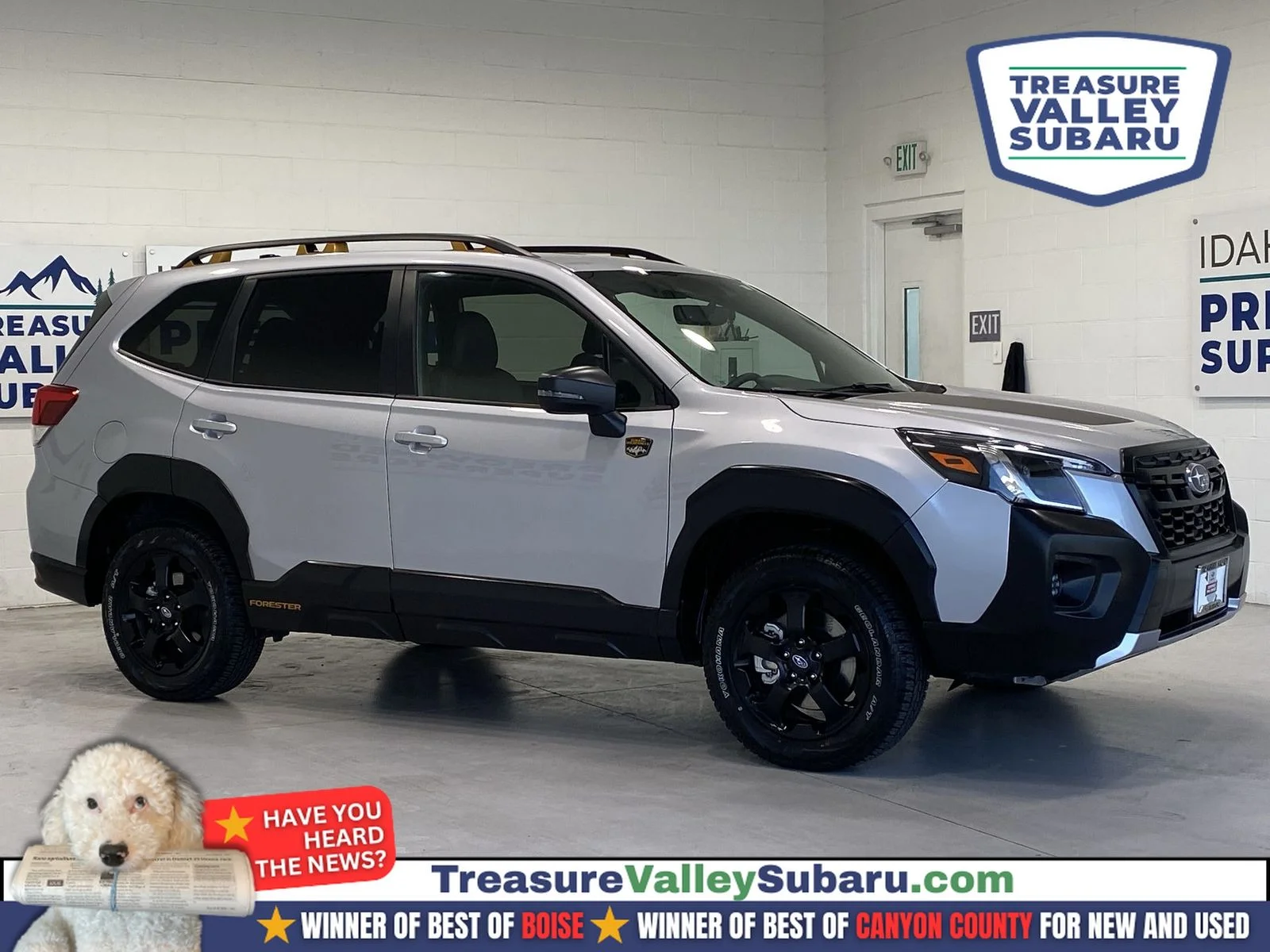 2025 Subaru Forester Wilderness's photo