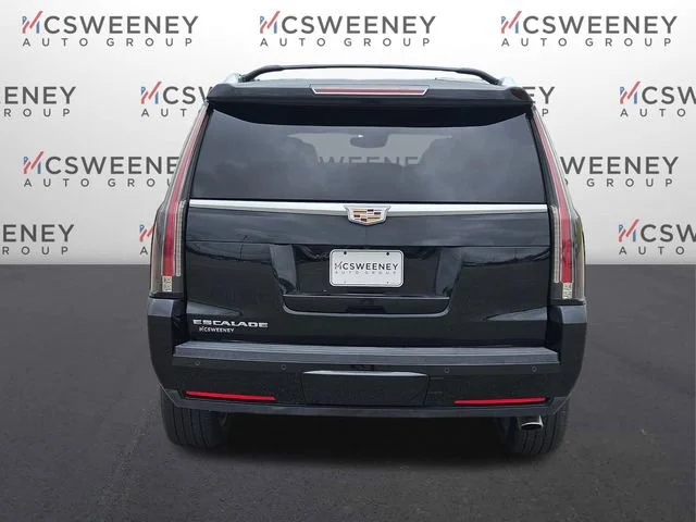 Used 2016 BLACK RAVEN Cadillac Platinum image 4