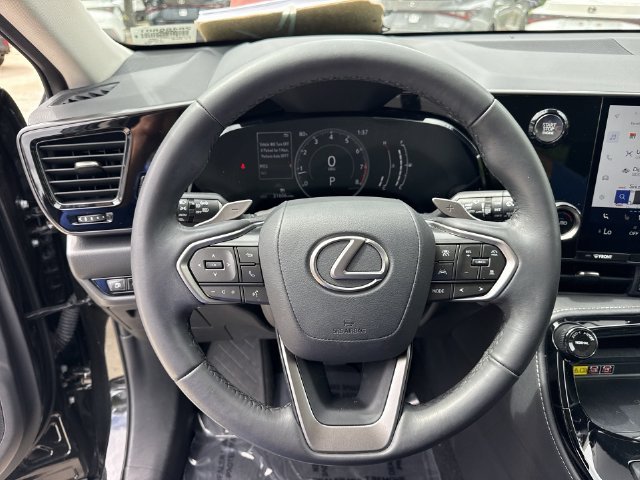 2024 Lexus NX 250 - Photo 14