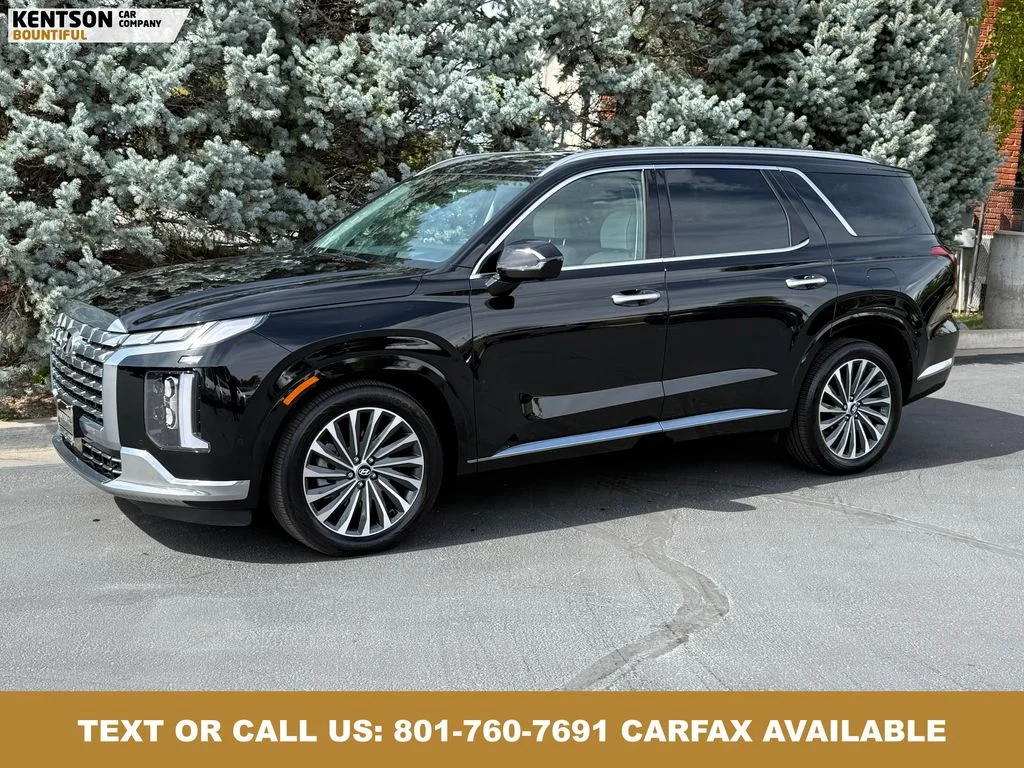 2025 Hyundai Palisade Calligraphy AWD's photo