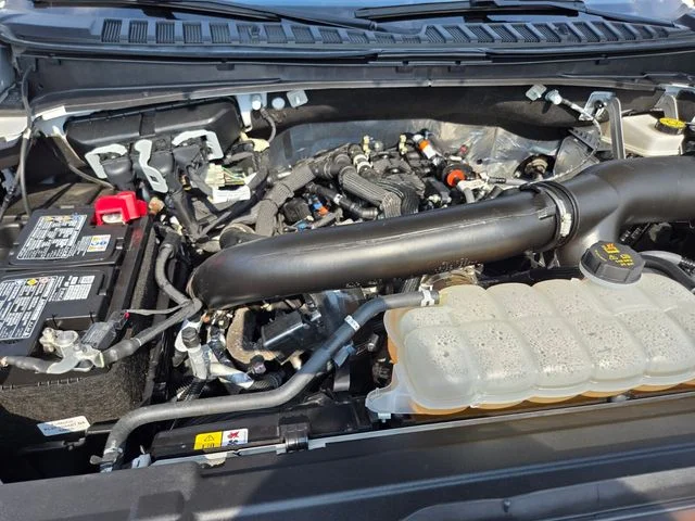 Used 2025 White Ford Active image 22