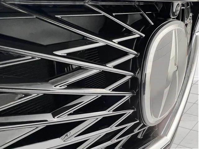 New 2026 Majestic Black Pearl Acura Advance Package image 10