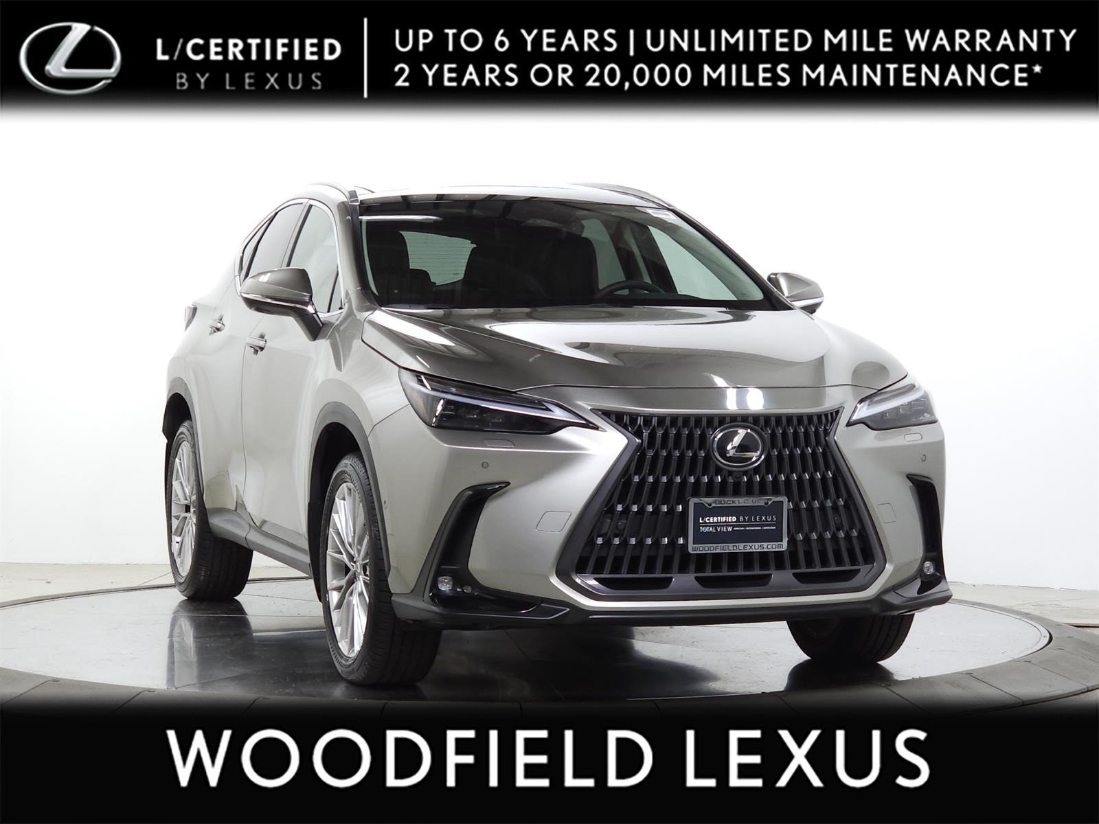 2025 Lexus NX 350 350 Luxury AWD's photo
