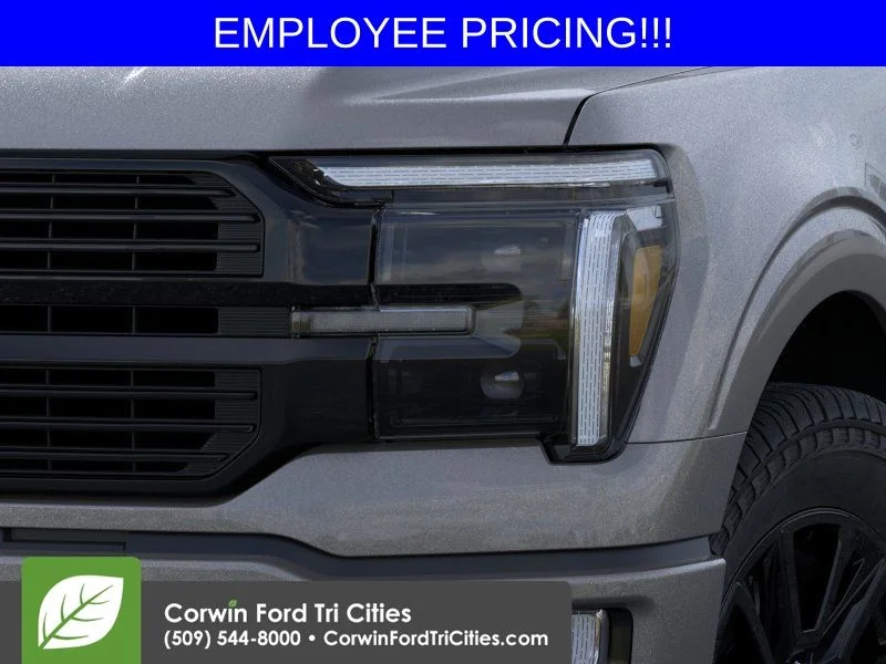 New 2026 Carbonized Gray Metallic Ford Platinum image 18