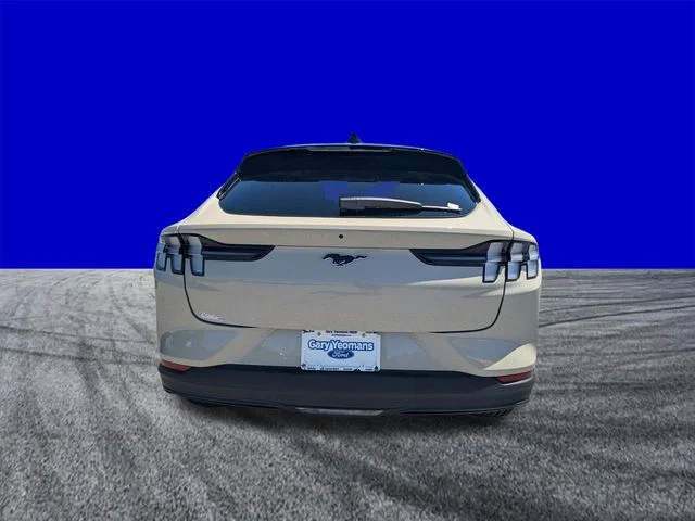 New 2026 Beige Ford Premium image 4