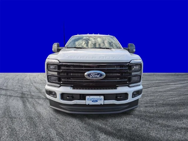New 2027 White Ford Platinum image 9