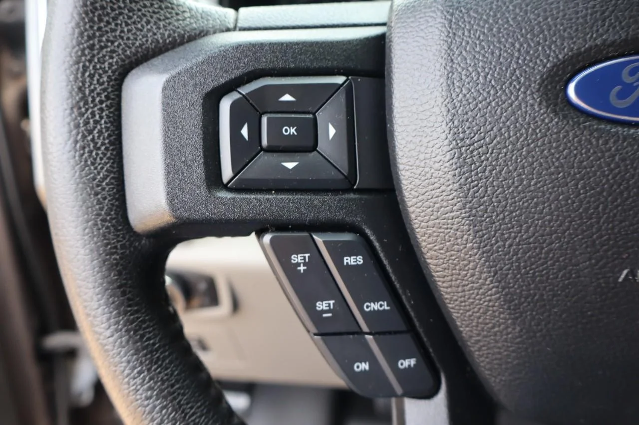 Used 2016 Caribou Metallic Ford XLT image 18