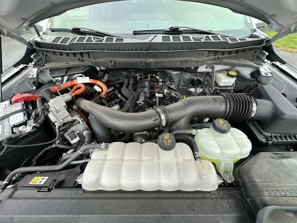 Used 2024 Silver Ford Platinum image 25