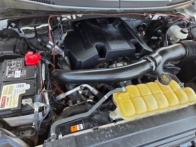 Used 2019 Silver Ford Platinum image 32