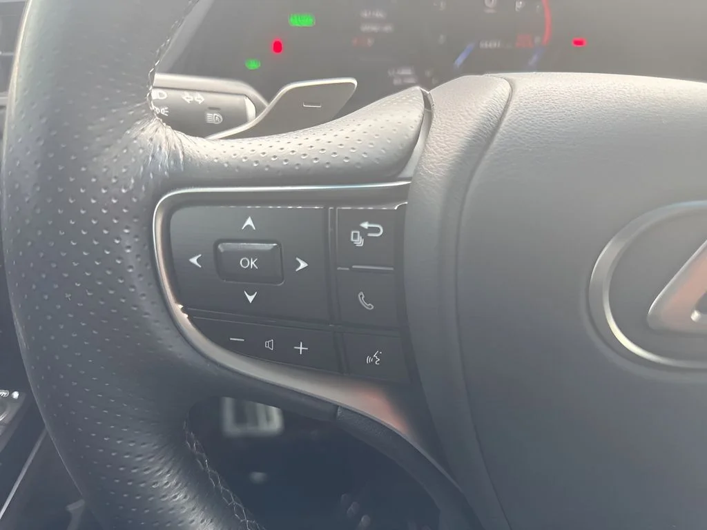 Used 2024 Gray Lexus 300h F SPORT Handling image 16