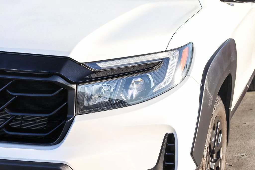 Used 2022  Honda Black Edition image 5