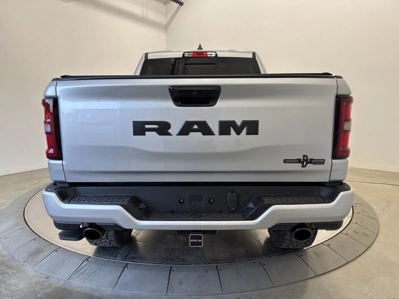 New 2026 Silver Zynith Exterior Paint RAM Big Horn/Lone Star image 6