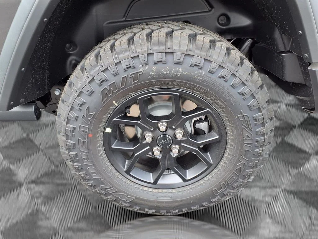 New 2026 Granite Crystal Metallic Clear-Coat Exterior Paint Jeep Willys image 20