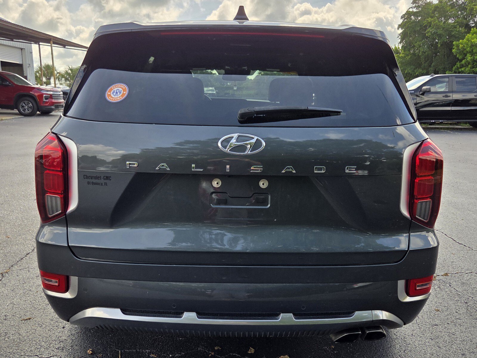 Used 2022 Rainforest Hyundai Calligraphy image 4