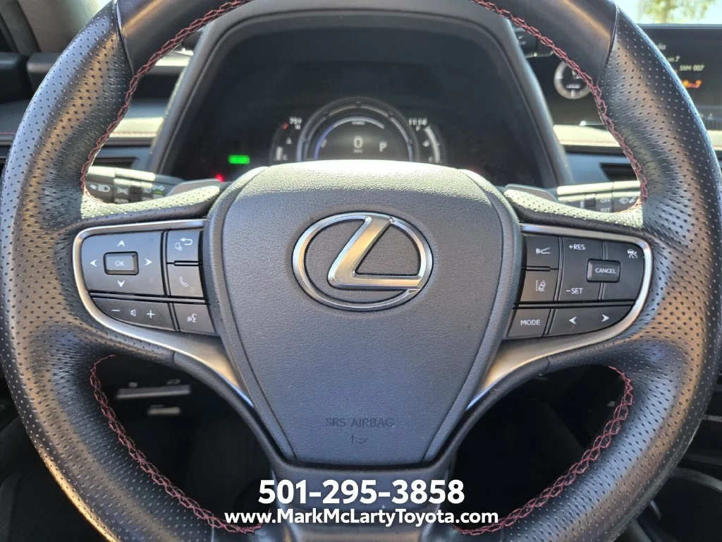 Used 2022 Gray Lexus 250h F SPORT image 22