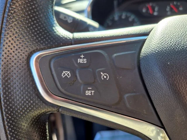 Used 2019 Beige Chevrolet LS image 32