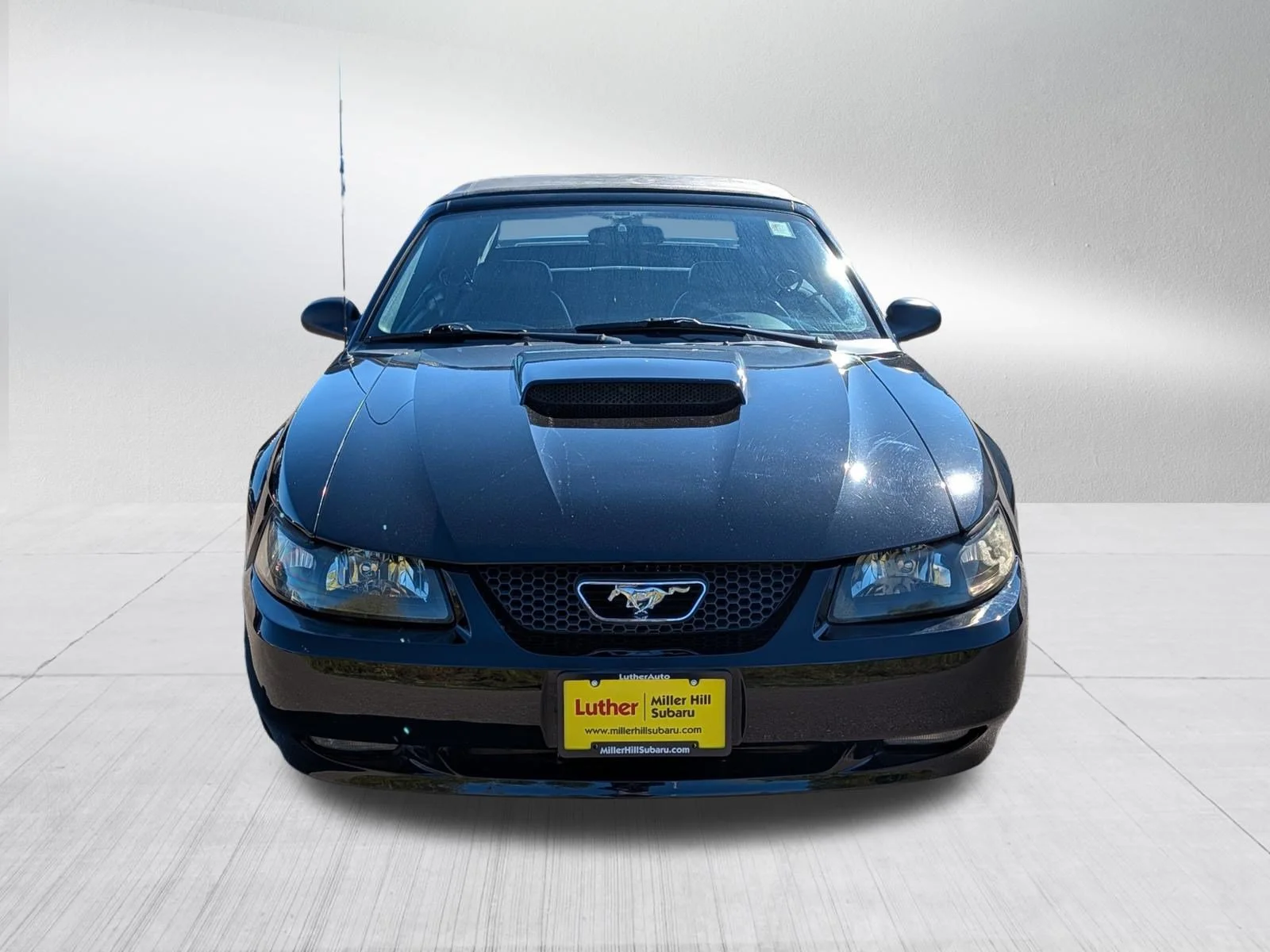 Used 2001 Ford Mustang GT with VIN 1FAFP45X21F196403 for sale in Hermantown, Minnesota