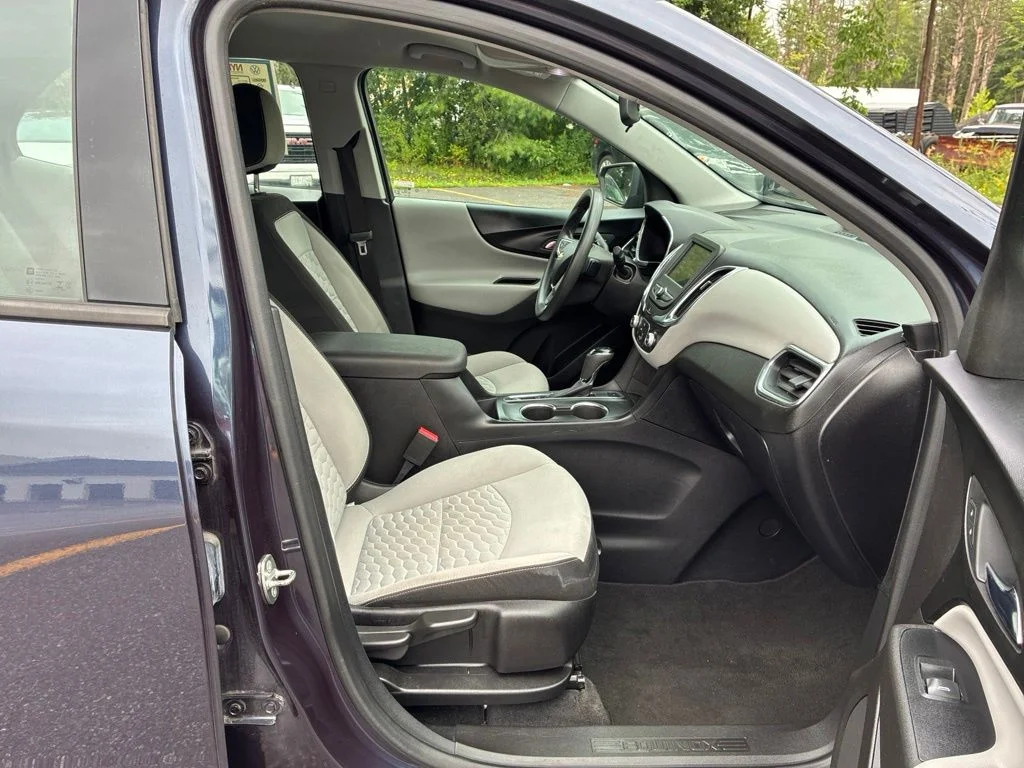 Used 2019 Blue Chevrolet LS image 38