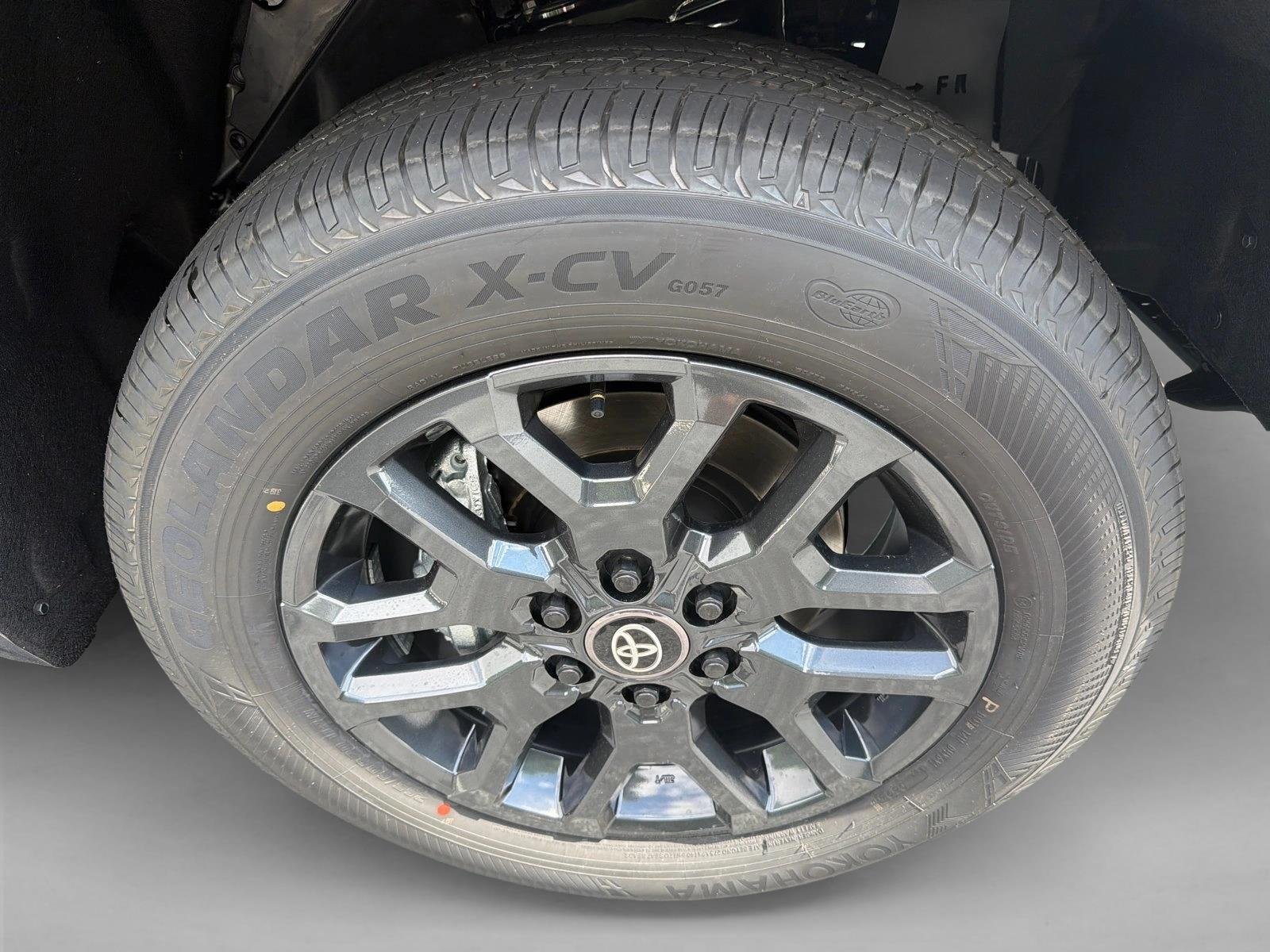 New 2026 Magnetic Gray Metallic Toyota Platinum image 12