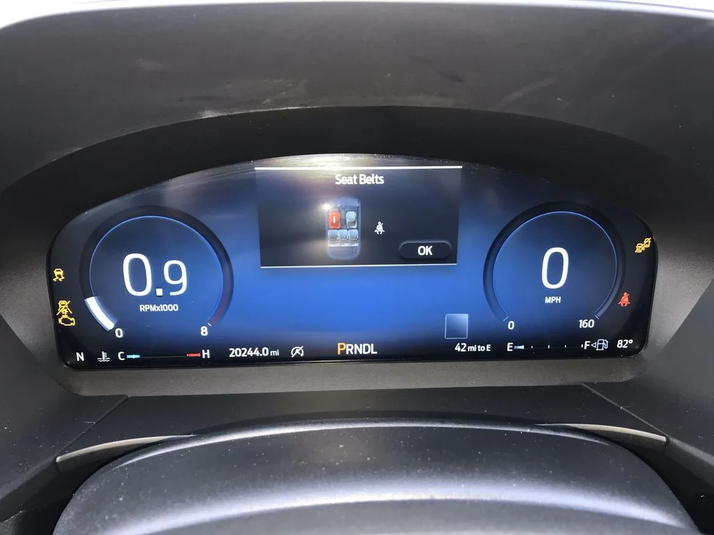 Used 2025  Ford Platinum image 15