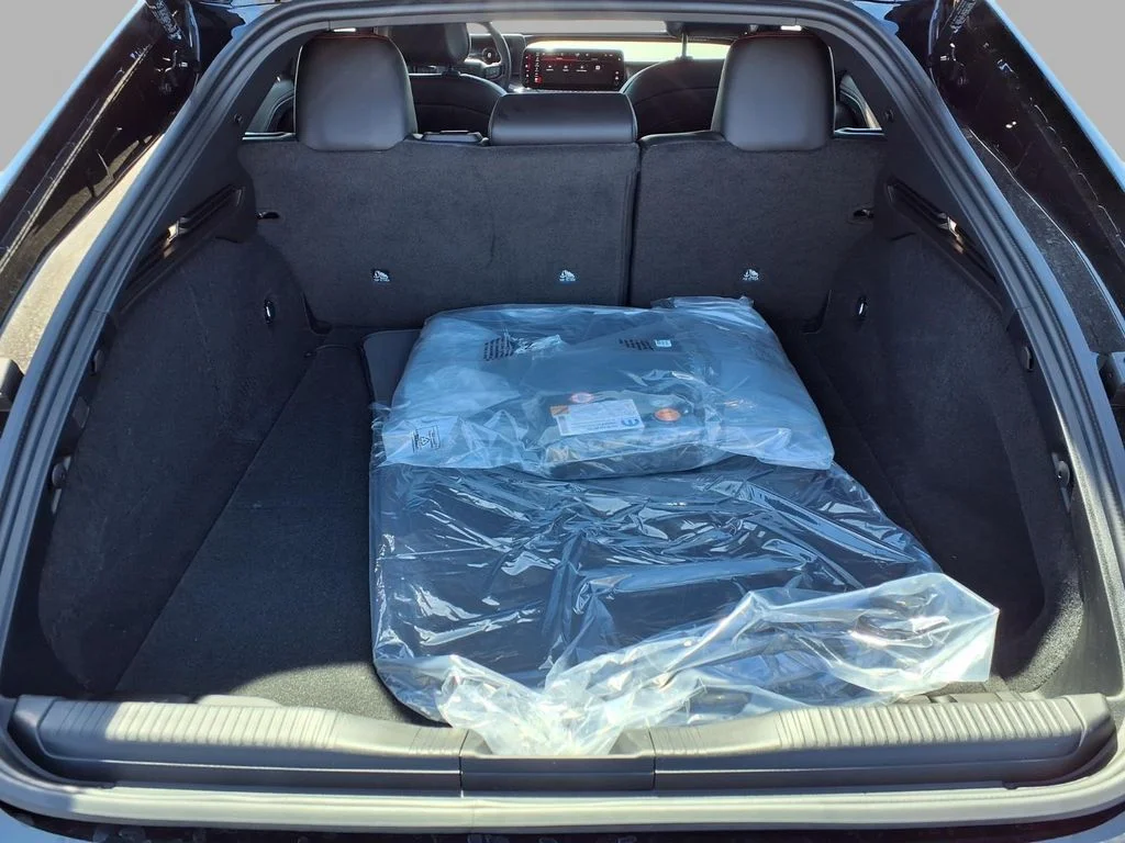 New 2026 Diamond Black Crystal Pearlcoat Dodge R/T image 28