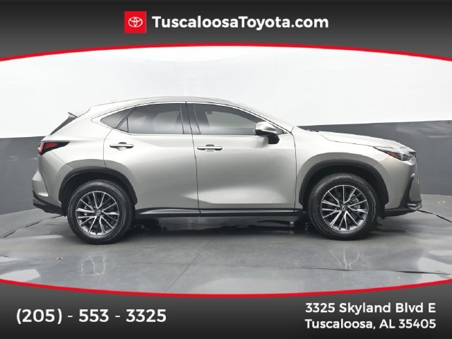 2025 Lexus NX