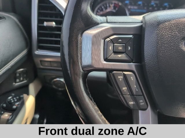 Used 2019 Magnetic Ford Platinum image 9