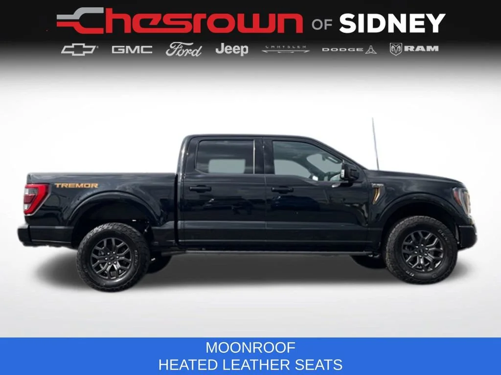 2023 Ford F-150 Tremor - Photo 12