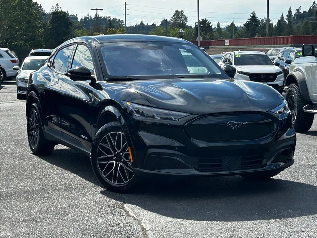 New 2026 Shadow Black Ford Premium image 1