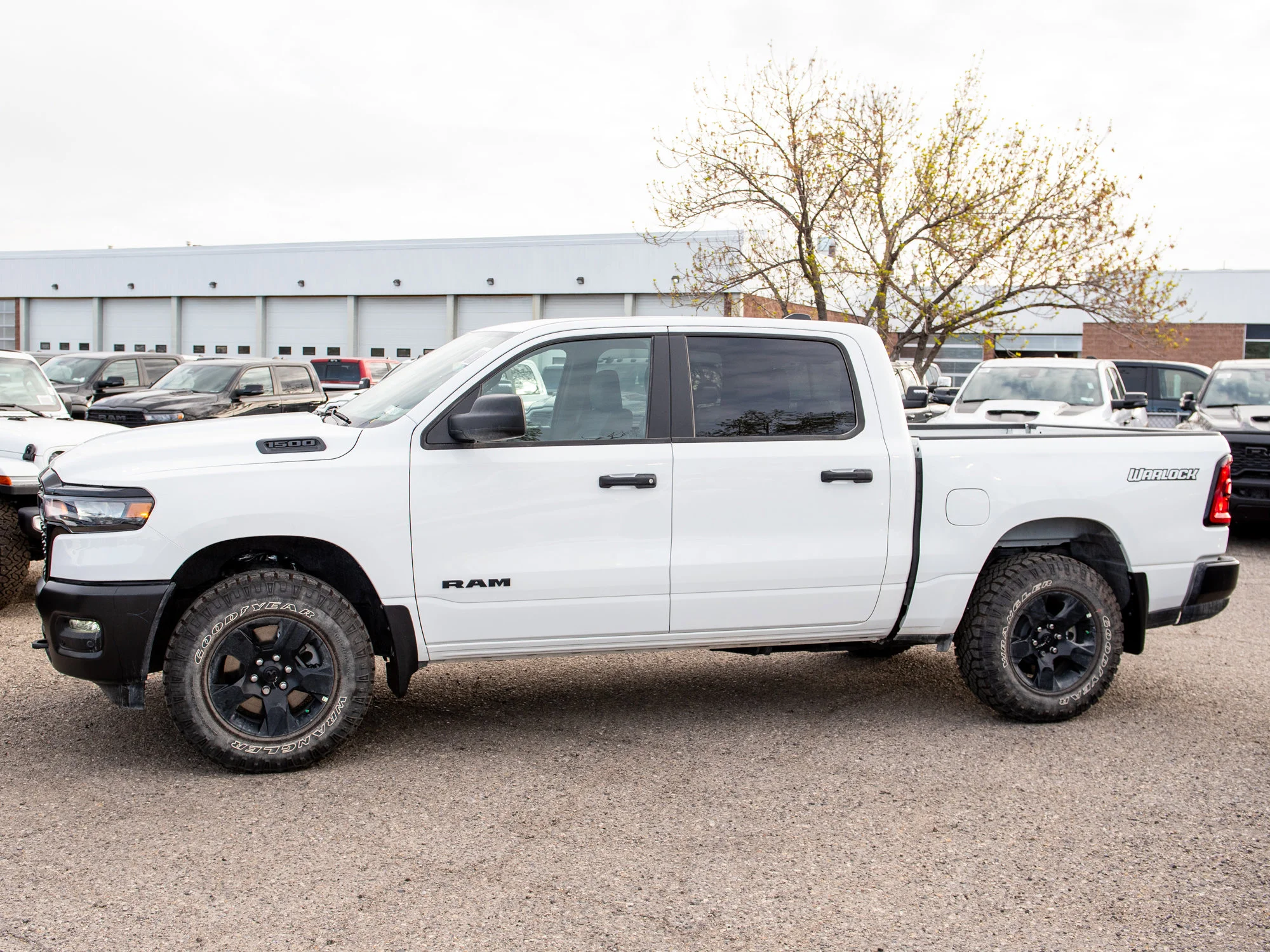 New 2026 White RAM Warlock* image 2