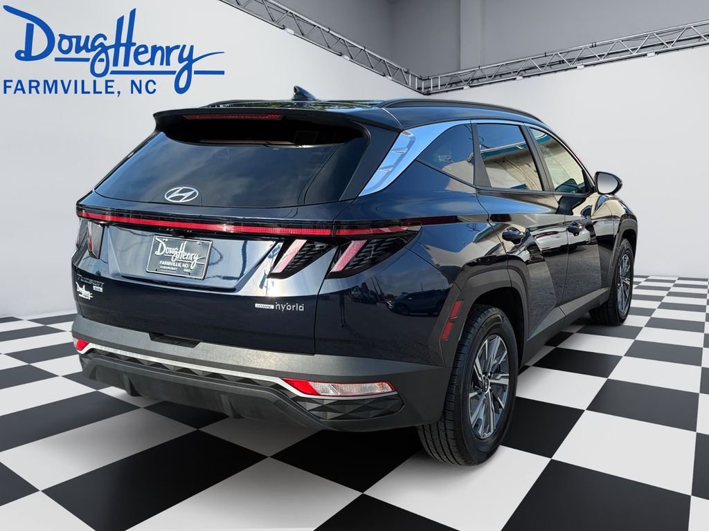 Used 2023 Blue Hyundai Blue image 5