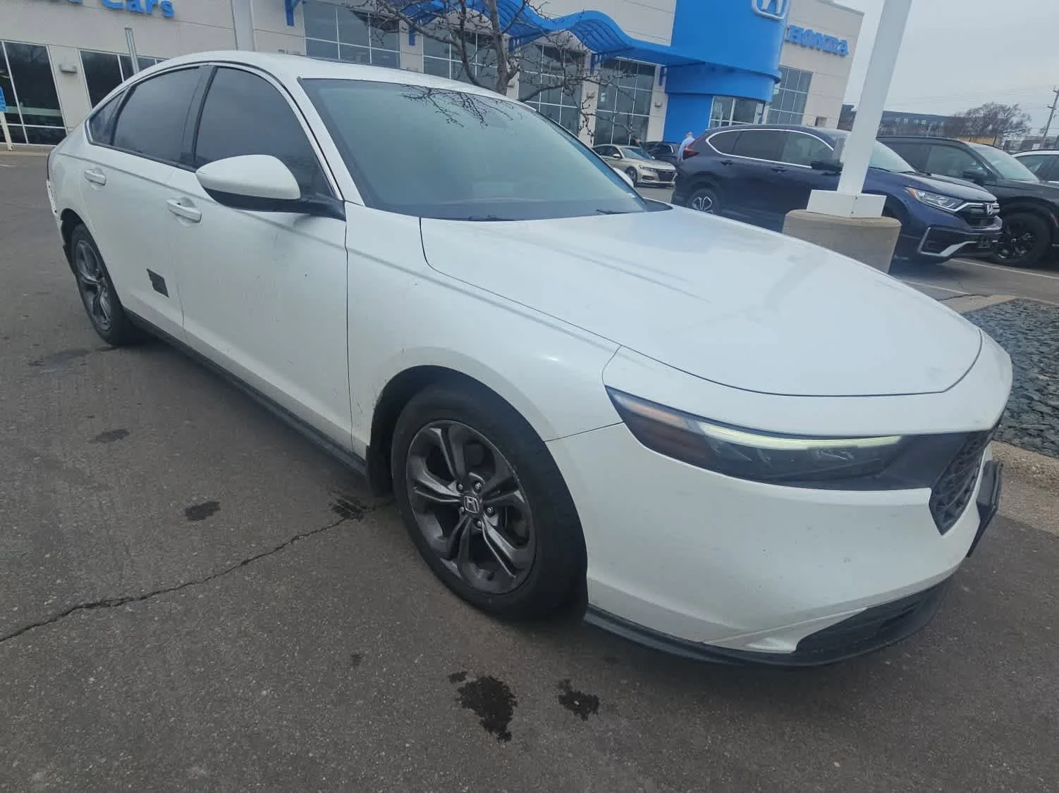 Certified 2023 Honda Accord EX with VIN 1HGCY1F39PA023358 for sale in Hopkins, Minnesota