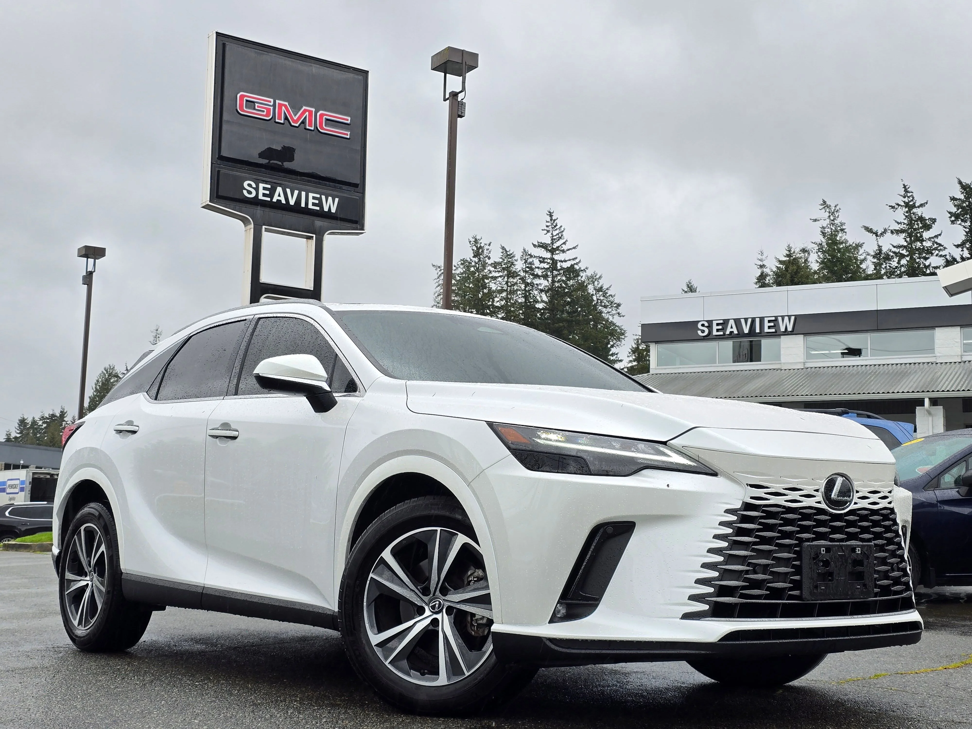 2023 Lexus RX 350 350 Premium AWD's photo