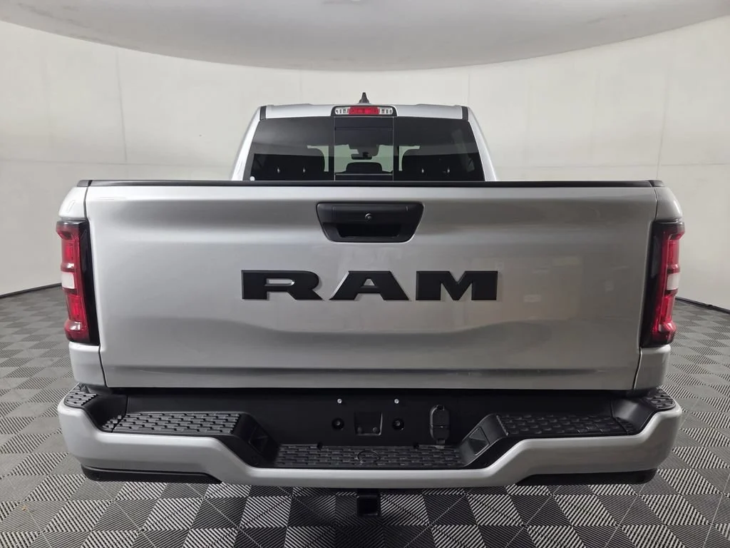 New 2026 Silver Zynith Exterior Paint RAM Express image 6