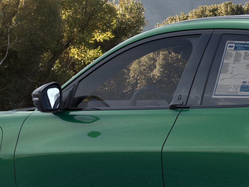 New 2026 Eruption Green Metallic Ford Premium image 42