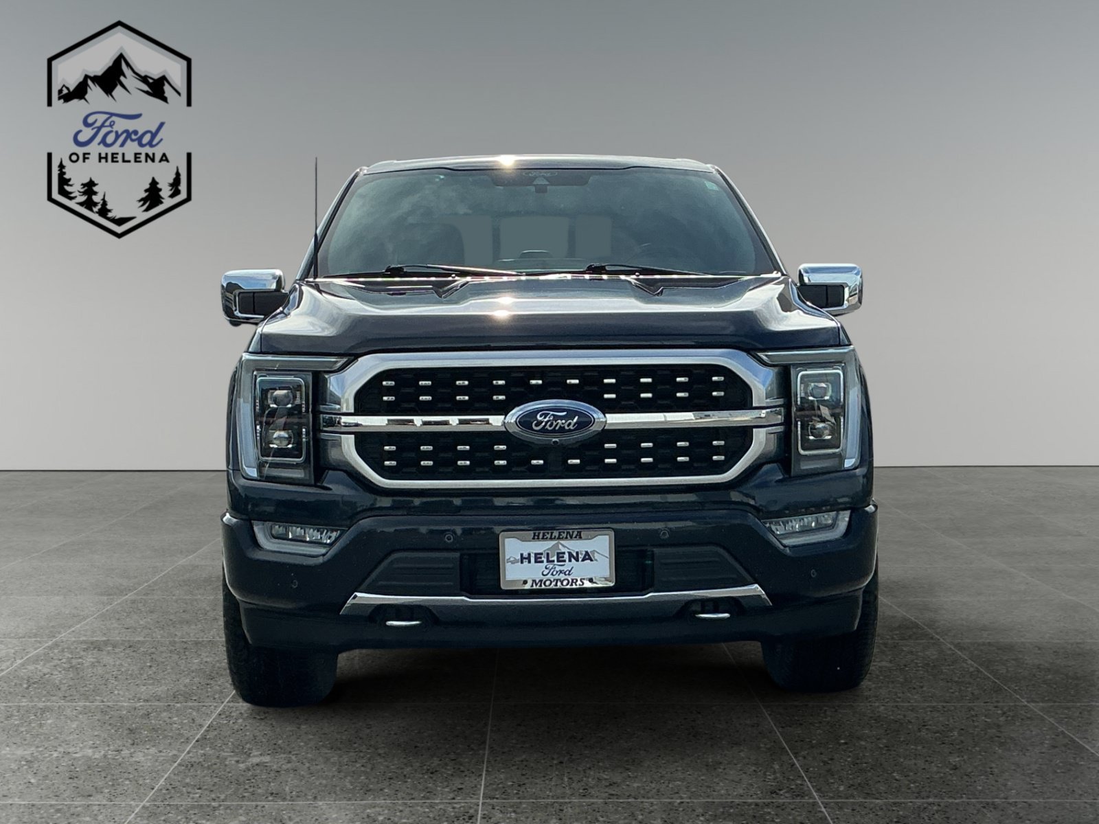 Used 2022 Blue Ford Platinum image 8